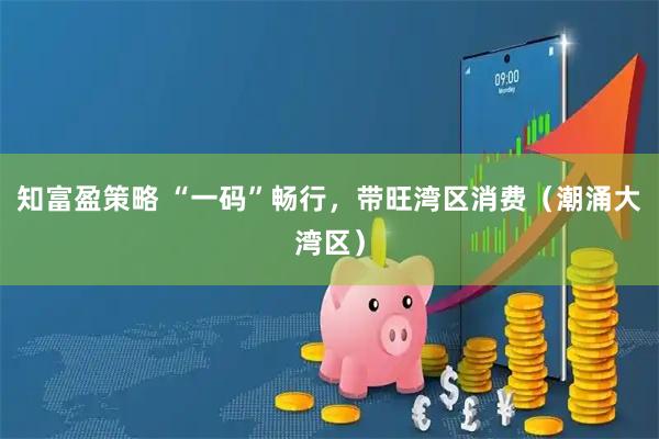 知富盈策略 “一码”畅行，带旺湾区消费（潮涌大湾区）