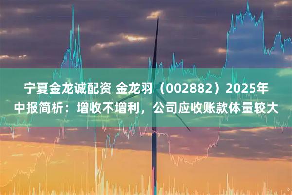 宁夏金龙诚配资 金龙羽（002882）2025年中报简析：增收不增利，公司应收账款体量较大
