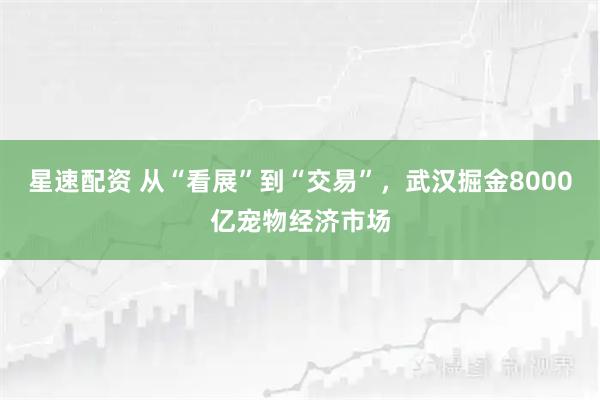 星速配资 从“看展”到“交易”，武汉掘金8000亿宠物经济市场