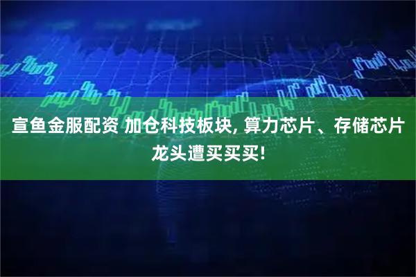 宣鱼金服配资 加仓科技板块, 算力芯片、存储芯片龙头遭买买买!